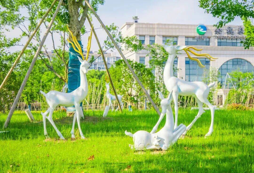 个公园可露营、健身！开元棋牌试玩余杭这几(图7)